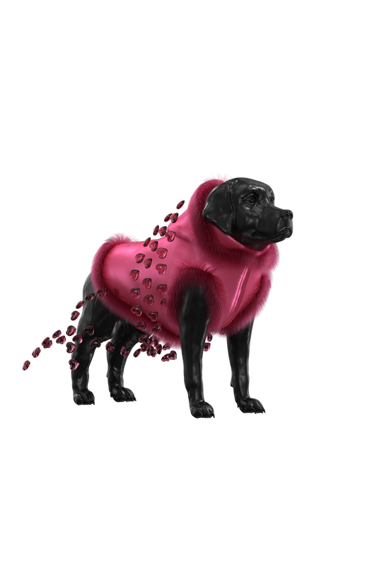 Heart outfit for cats or dogs