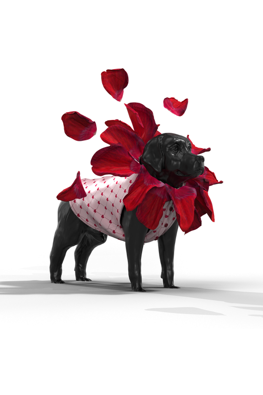 Rose petal coat for cats or dogs