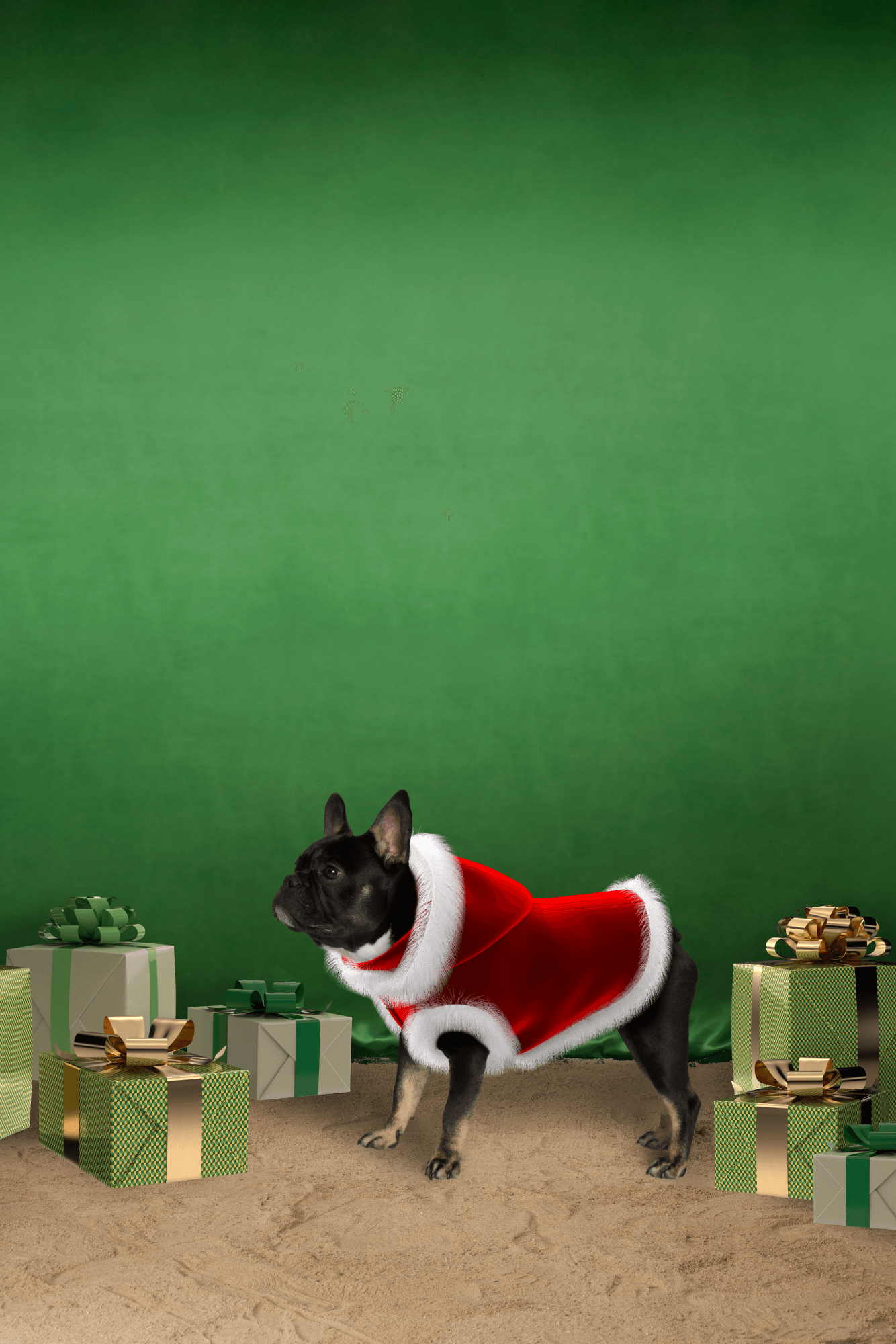  | Christmas coat for dog or cat